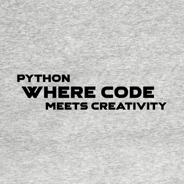 Python Where Code Meets Creativity Programming by Furious Designs